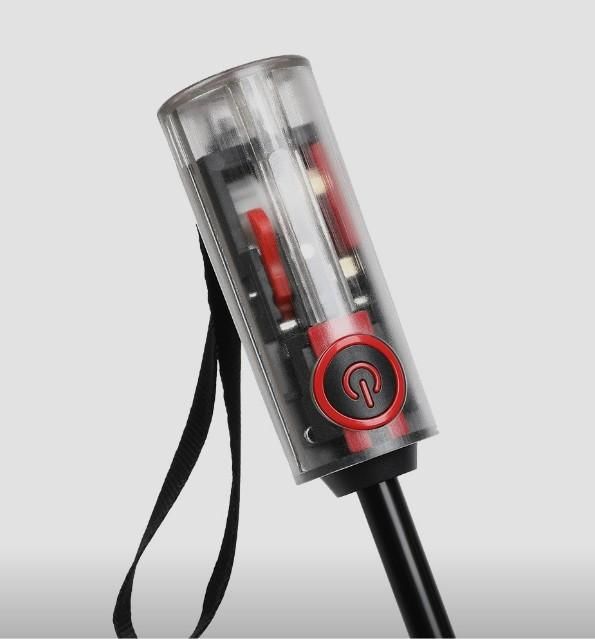 AutoFold Umbrella